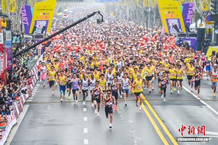 2026武汉马拉松樱花季开跑 3万跑者共绘春日赛道